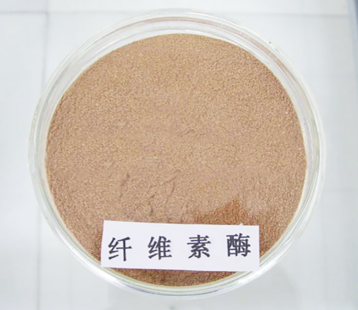 纤维素酶的作用机制