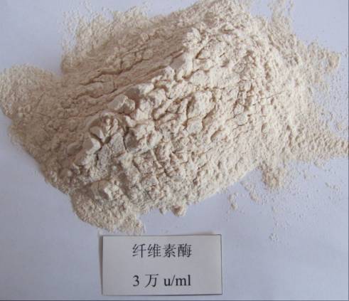 纤维素酶包括什么