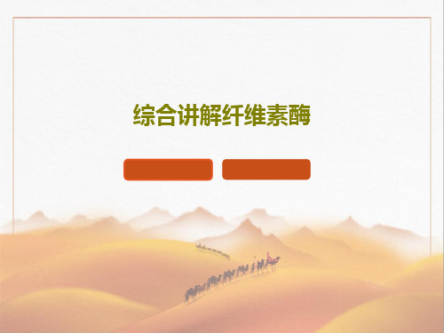 综合讲解纤维素酶(图1)