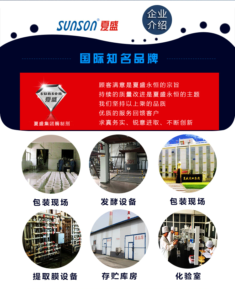 【夏盛 复配玉米淀粉加工用酶（小麦-01型）生物酶制剂 厂家直供】价格厂家酶制剂-搜了网(图2)