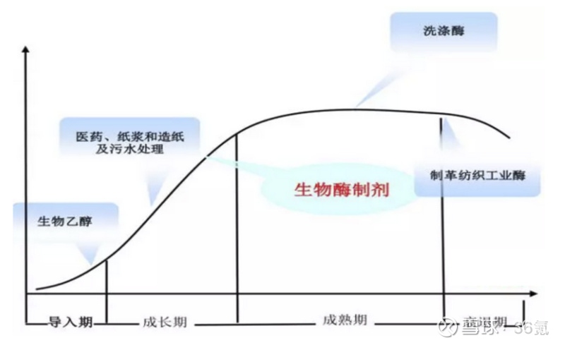《第2节酶在工业生产中的应用》PPT课件(湖南省县级优课)ppt