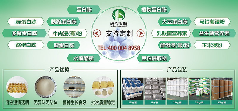 2019年中国工业酶市场深度研究与市场供需预测报告(定制版)目录
