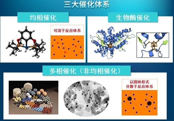 全球及中国生物酶制剂市场发展形势及竞争战略分析报告2025-2031年