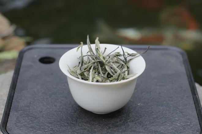 大自然物质循环与白茶萎凋的神奇密码(图1)