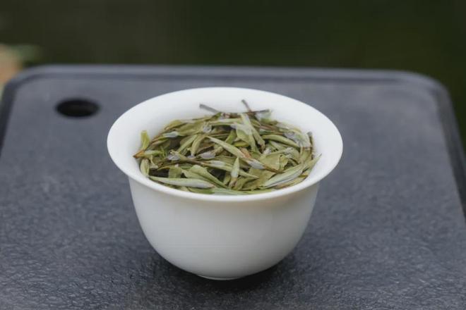 大自然物质循环与白茶萎凋的神奇密码(图2)