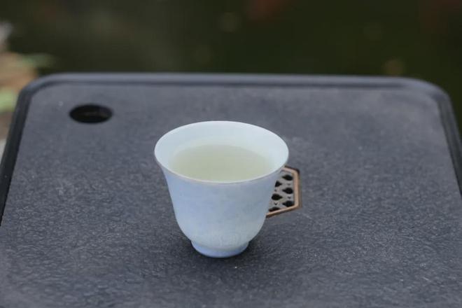 大自然物质循环与白茶萎凋的神奇密码(图3)