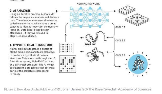 专访｜复旦大学复杂体系多尺度研究院首任院长马剑鹏：AI for Science是中国输不起的赛道未来可能出现“纯粹的AI科学家”(图2)