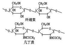 纤维素酶价格纤维素酶作用纤维素酶用量