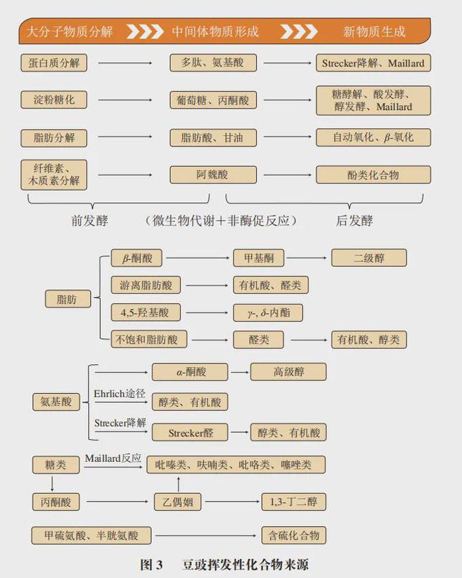 《食品科学》：北京工商大学王书奇博士等：3 种微生物对豆豉发酵过程中挥发性物质的影响(图1)