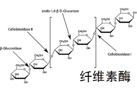 合成生物学周报：林科院木工所实现“以竹代塑”新突破安乡县芦苇基新材料项目正式开工