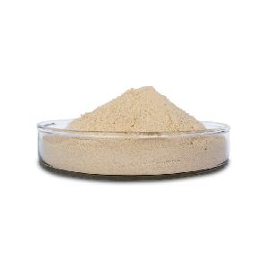 高温秸秆降解菌的筛选及其纤维素酶活性研究