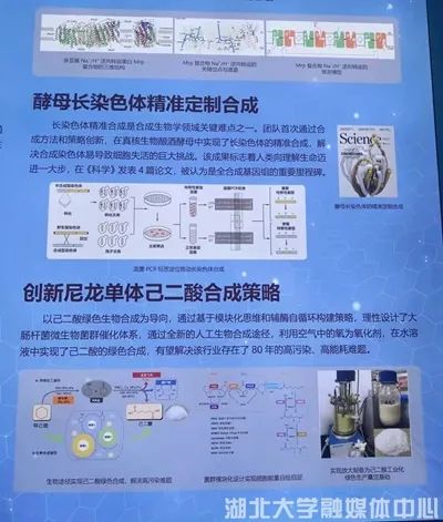 2025年抑制剂行业发展现状与未来趋势分析
