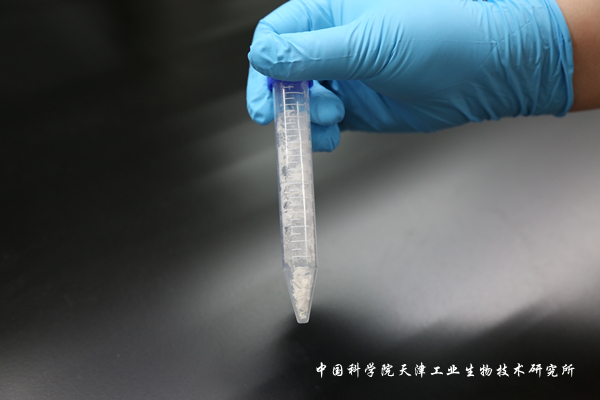 中国科学院天津工业生物技术研究所(图5)