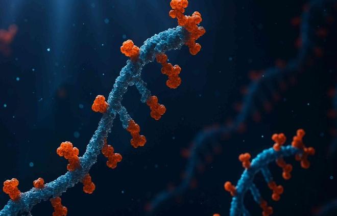 2025中国细胞生物展细胞生物展会览会10月相聚北京(图1)