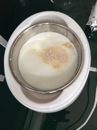做酸奶用什么发酵菌好？哪种最适合你？快来看！(图3)
