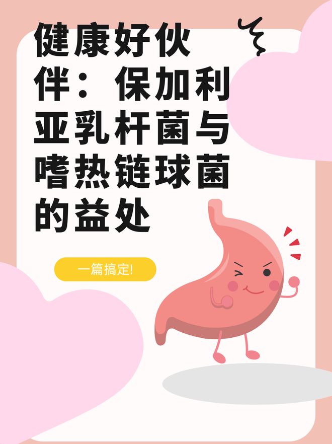 做酸奶用什么发酵菌好？哪种最适合你？快来看！(图2)