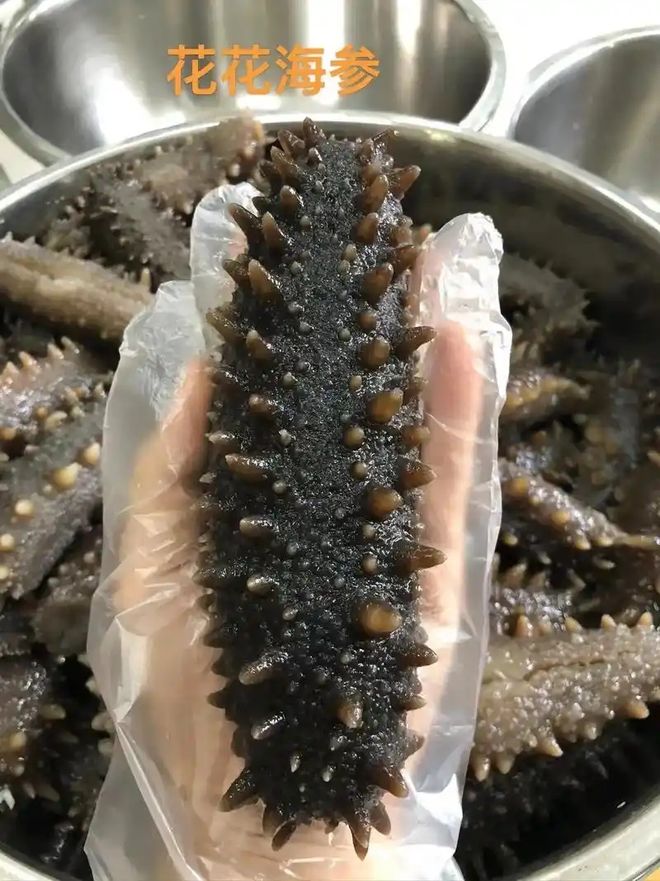 水发海参加碱的目的看这里！(图1)