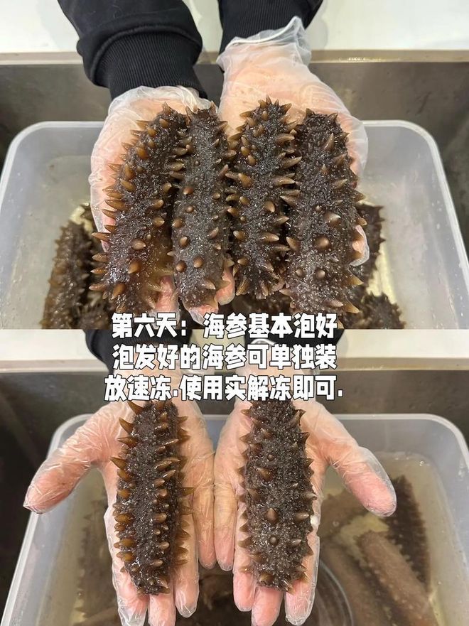 水发海参加碱的目的看这里！(图2)
