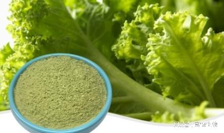 羽衣甘蓝粉改善便秘 富恒生物(图1)