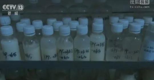 两教师联手制毒2个月竟狂赚1300万 坦言受美剧《绝命毒师》启发(图5)