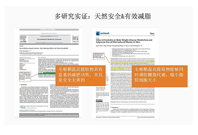 法国超模空姐都在喝的“DrSkao”为何安全又有效(图3)