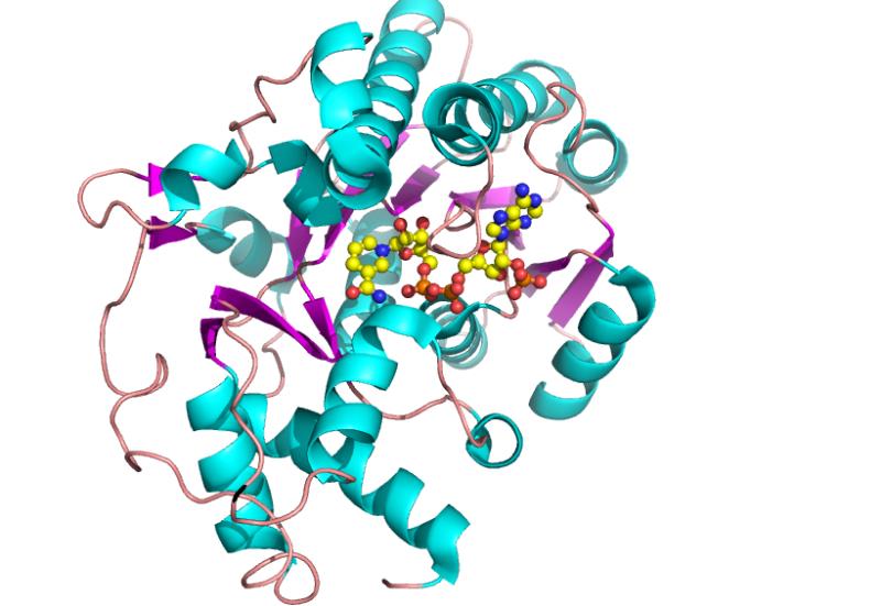 2025年二氯苯胺行业:创新驱动与可持续发展