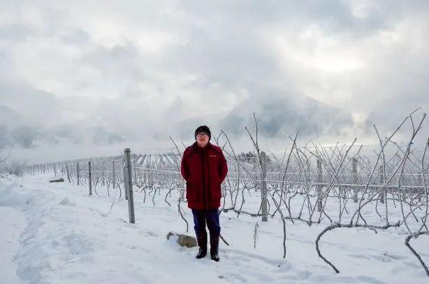 中国农业大学研究员兰义宾：在葡萄酒科研领域践行 “顶天立地”(图3)