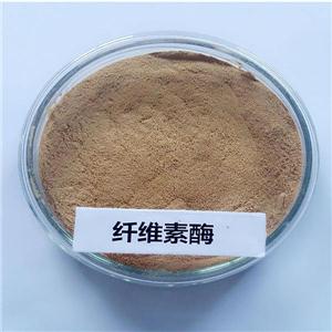 推动燃料乙醇产业化