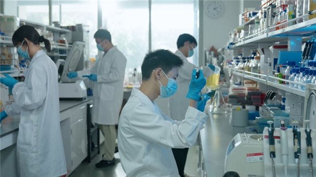 《后浪奔涌创新无界老、中、青三代创业者的海南科创答卷(图6)