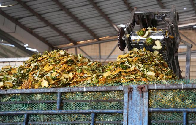 从“甜蜜烦恼”到“菠萝猪肉”湛江徐闻助力菠萝产业绿色转型(图2)