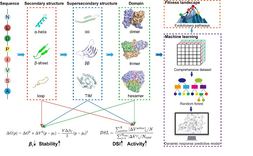 海外直播电商和二手交易平台Whatnot获得225亿美元F轮融资 每日速递