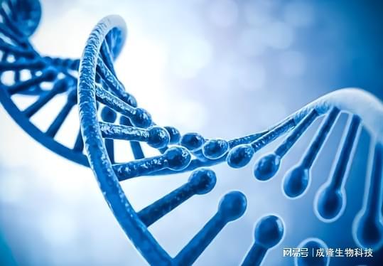 工业酶制剂的创新革命:从分子催化到绿色制造的未来蓝图(图3)