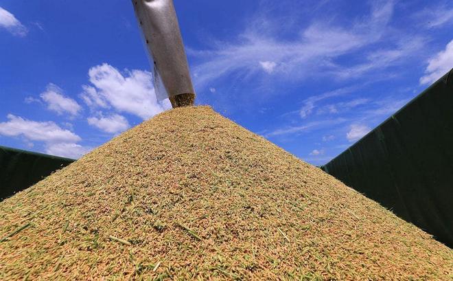 打破欧美酶制剂垄断！秸秆还田年年犯愁分离技术创造千亿产值(图4)