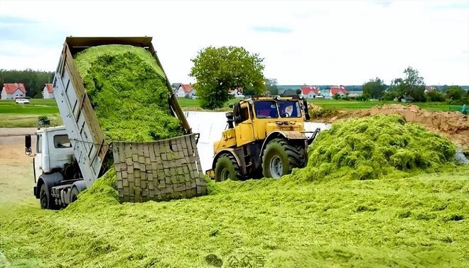 打破欧美酶制剂垄断！秸秆还田年年犯愁分离技术创造千亿产值(图9)