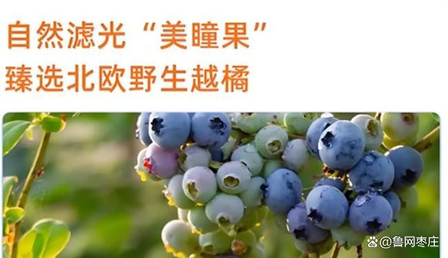 哪个品牌的叶黄素含量高？测评叶黄素十大品牌数据说话(图6)