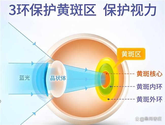 哪个品牌的叶黄素含量高？测评叶黄素十大品牌数据说话(图2)