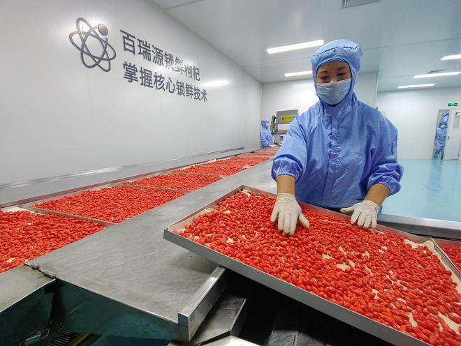 “锁鲜枸杞”的产业技术革命(图2)