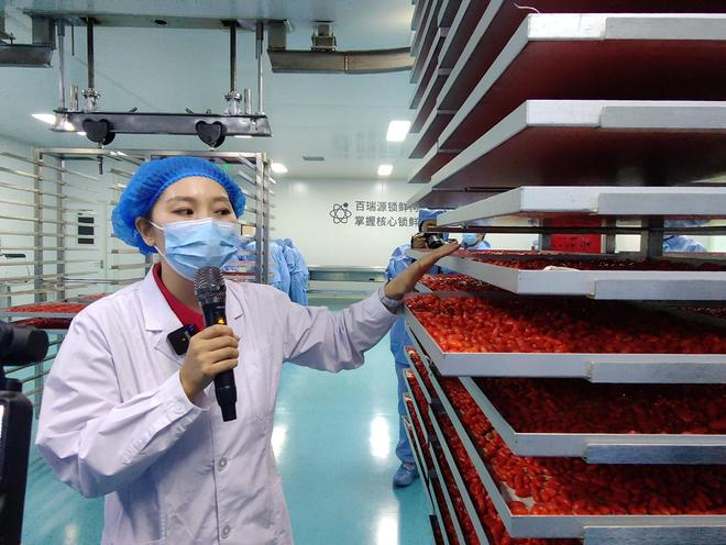 “锁鲜枸杞”的产业技术革命(图3)