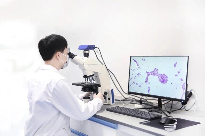 小记者探科技 探秘生命密码：走进生物实验室感受“神奇微生物”的独特魅力(图6)