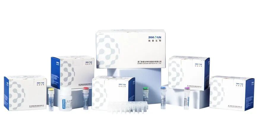 深海寻“酶”！厦门火炬高新区企业攻克分子诊断核心技术(图3)