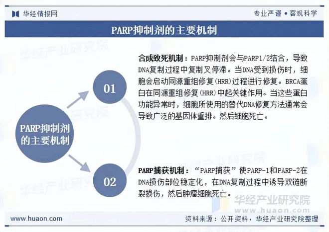 2025年中国PARP抑制剂行业现状及展望（附市场规模、产业链及重点企业）「图」(图1)