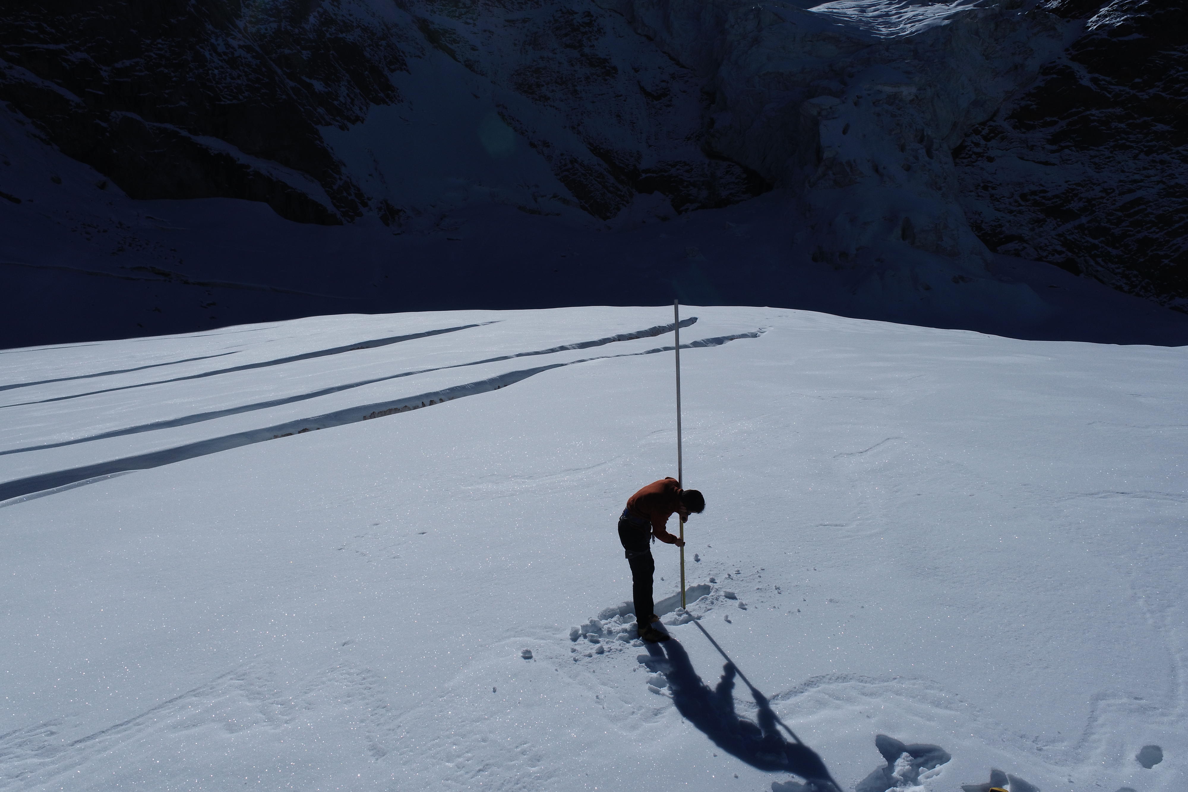 冰川消失预计在本世纪中叶达到峰值(图1)