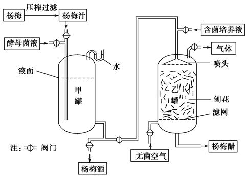纤维素酶发酵工艺与应用pptx