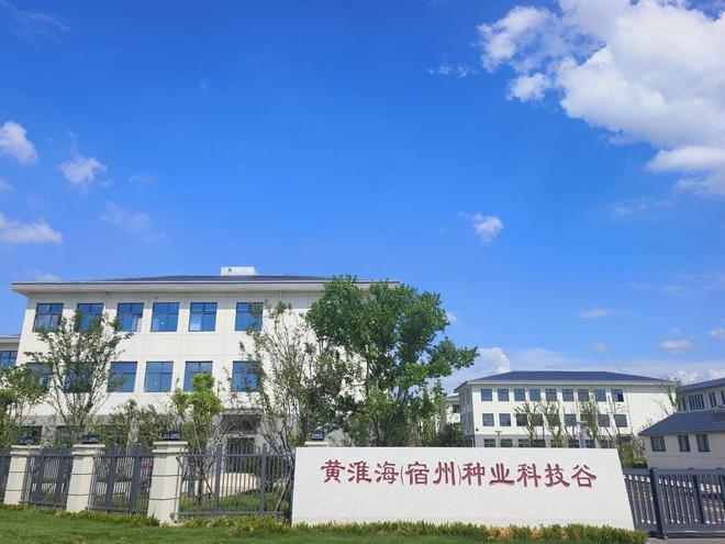 四个“Bian”字“宿”说皖北全面振兴(图2)