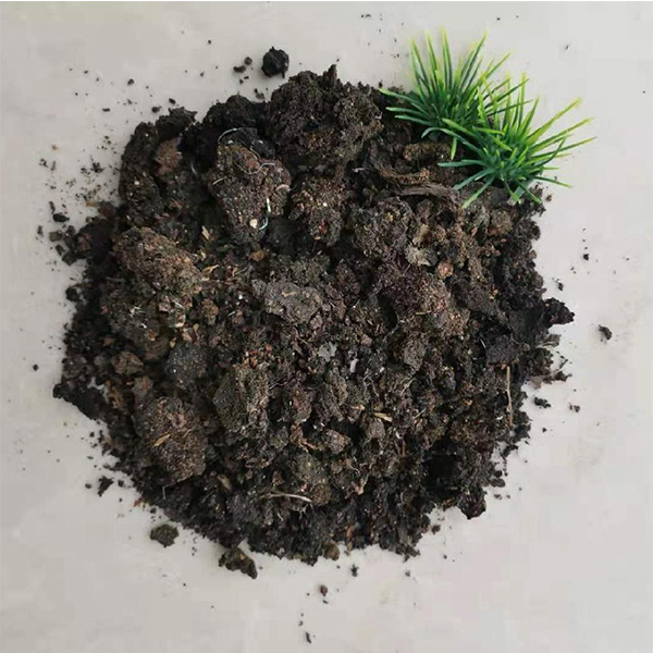 未来科技引领玉米深加工新方向！2026 济南产业展解锁 “黄金玉米” 新价值