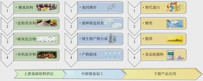 专题：合成生物制造(图6)