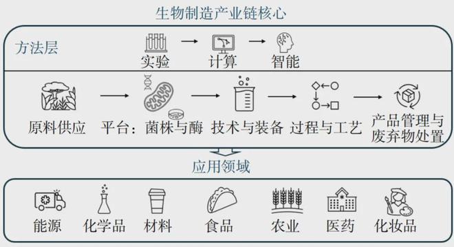 专题：合成生物制造(图3)