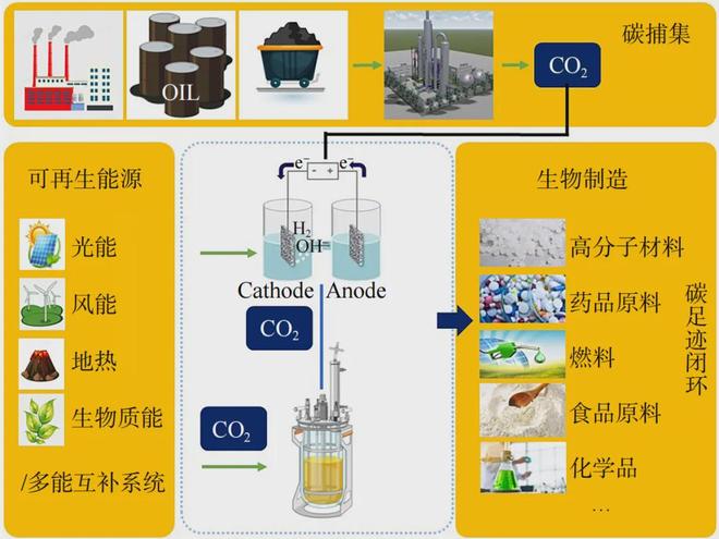 专题：合成生物制造(图7)