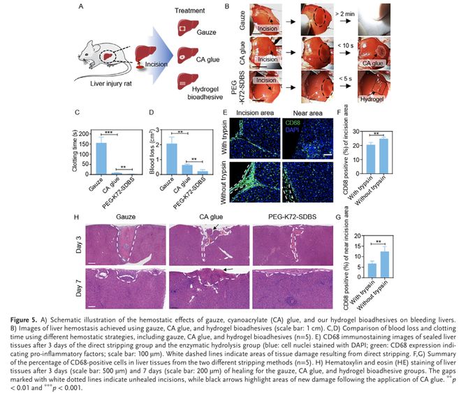 AdvMater：用于增强组织愈合的水凝胶黏合剂模块化设计(图5)