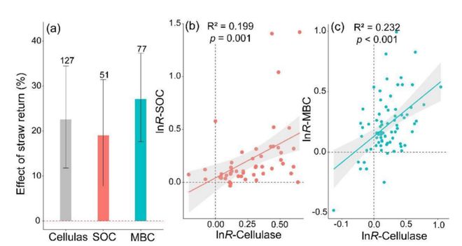 研究揭示秸秆还田通过提升土壤酶活性驱动有机碳积累(图1)